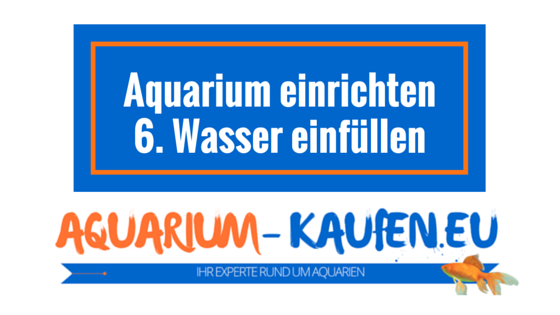 aquarium-einrichten-wasser-einfüllen