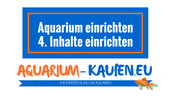 aquarium-einrichten