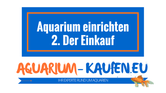 aquarium-einrichten-einkauf